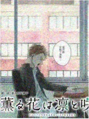 第一影视编辑精选后台四点半综艺画面